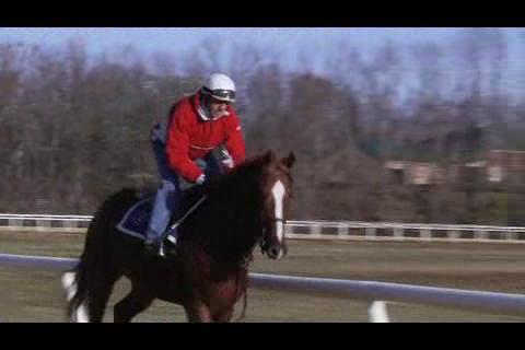 racetrack
